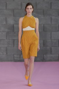 Emilia Wickstead RTW Spring 2016