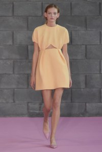 Emilia Wickstead RTW Spring 2016