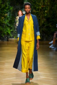 Erika Cavallini RTW Spring 2016