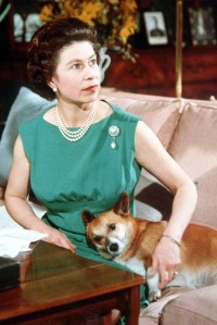 Queen Elizabeth