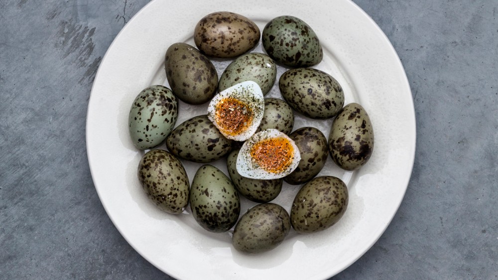 Lyle's Gull's eggs