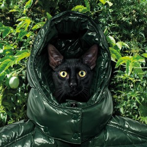 Brigitte Lacombe for Moncler's Art for Love exhibit.