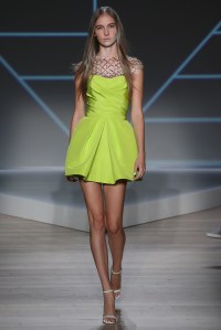 Pamella Roland RTW Spring 2016