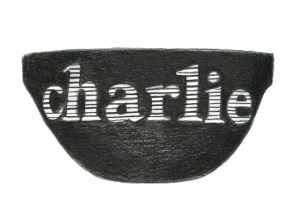 Charlie by Matthew Zink swim briefs.