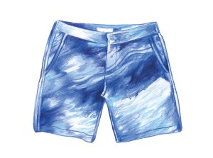 Onia swim trunks.
