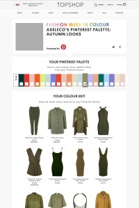 A look at the Pinterest Palette for Topshop.
