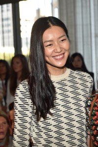 Liu Wen