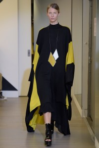 Victor Alfaro RTW Spring 2016
