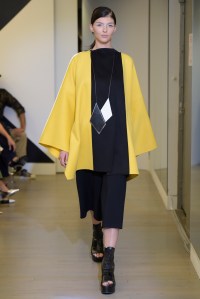Victor Alfaro RTW Spring 2016