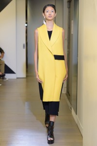 Victor Alfaro RTW Spring 2016