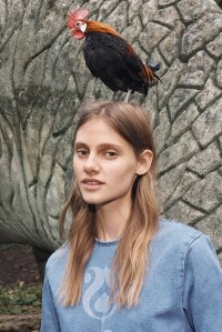 Victoria Beckham Spring 2016