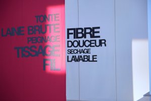 At the Campaign for Wool event, Palais de Tokyo