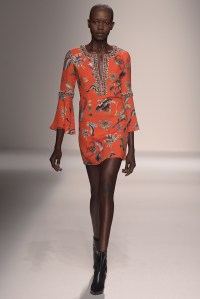Andrew GN RTW Spring 2016