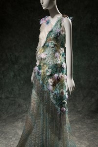 Rodarte dress