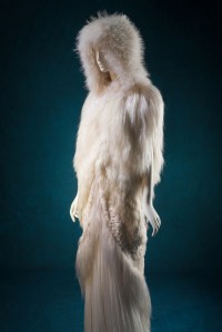 J. Mendel ensemble