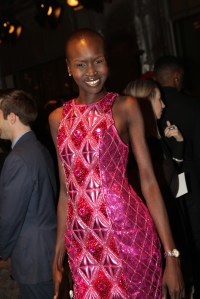 Alek Wek