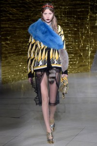 Miu Miu RTW Spring 2016
