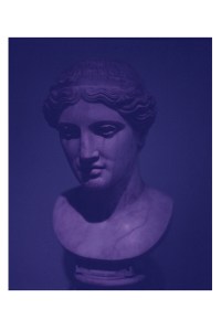 Sara VanDerBeek Roman Pink Archival offset lithograph 24 x 30 inches
