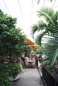 Bal Harbour Shops