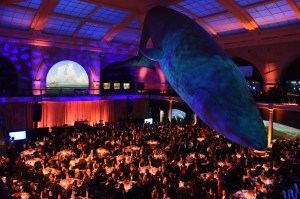 Natural History Museum