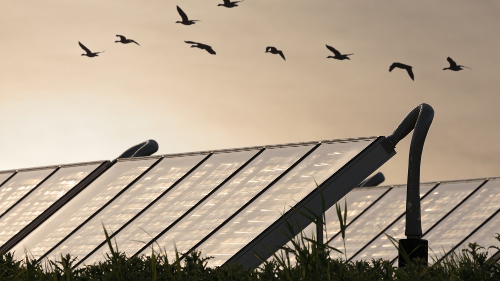 French businesses crack down on climate change