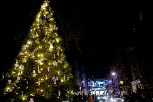 Mount Street Christmas lights