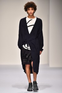 Public School Pre-Fall 2016