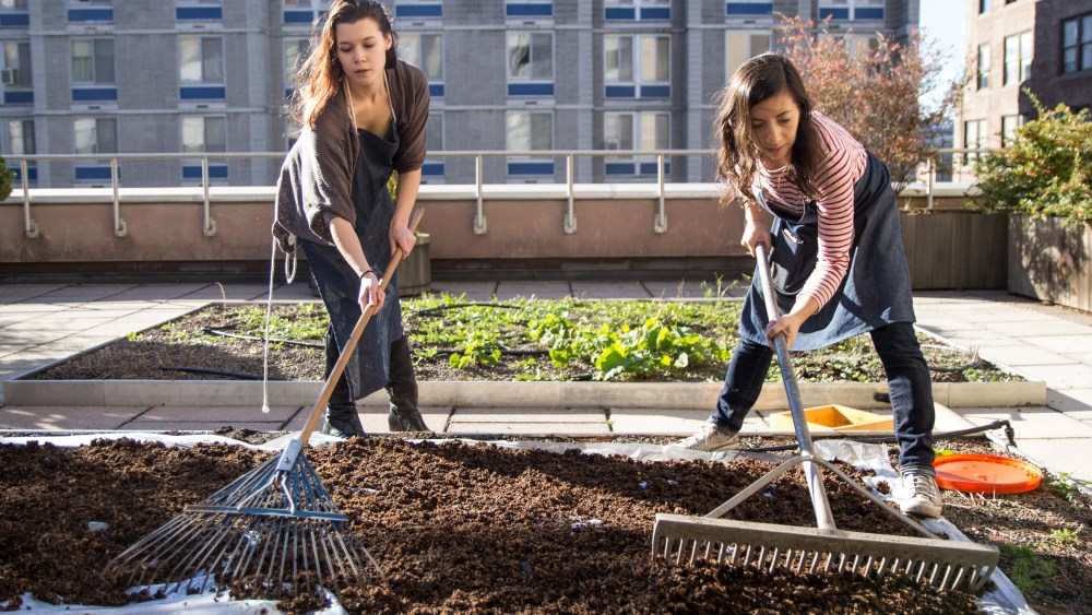 Student Projects at FIT Complete Sustainability Cycle