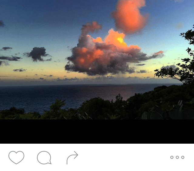 Olivia Palermo instagram