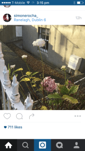 simone rocha instagram