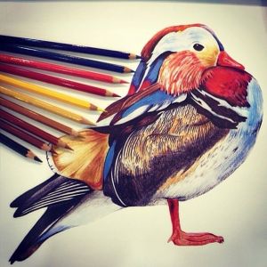 sketch Matthew Williamson