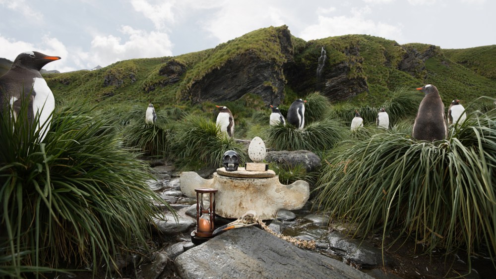 Artist Anne de Carbuccia Builds Shrines to Time