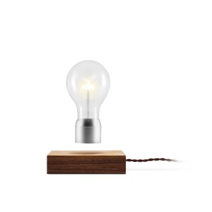 Flyte Light