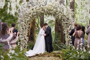 The wedding scene from the Twilight Saga