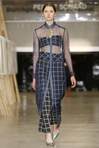Perret Schaad RTW Fall 2016