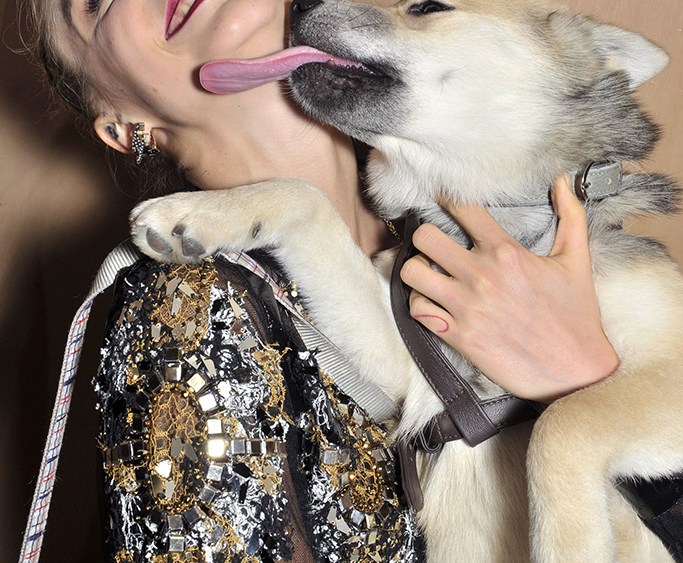 Cara Delevingne with a pet Chanel show, Spring Summer 2016, Haute Couture, Paris Fashion Week, France - 26 Jan 2016