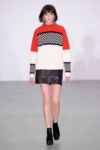 Ashley Williams RTW Fall 2016