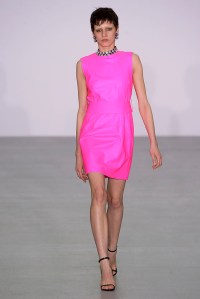 Ashley Williams RTW Fall 2016