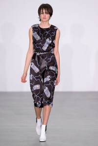 Ashley Williams RTW Fall 2016