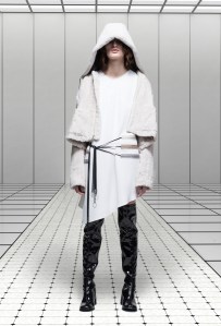 CF. Goldman RTW Fall 2016