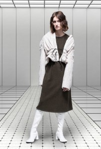 CF. Goldman RTW Fall 2016
