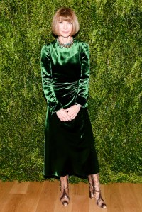 Anna Wintour at the Fashion Fund Season Premiere