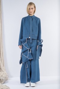 Claudia Li RTW Fall 2016