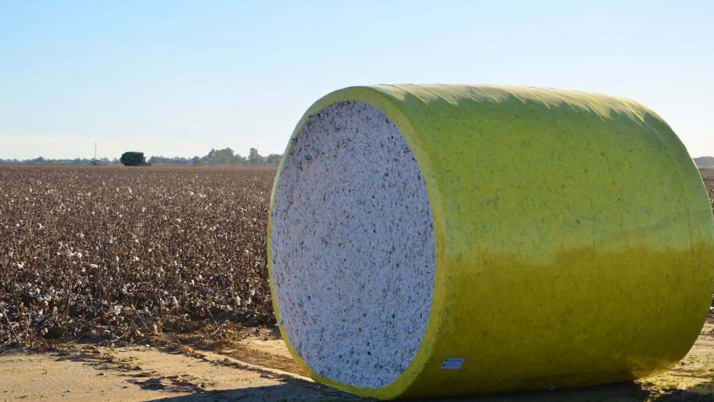 Cotton Bale USA