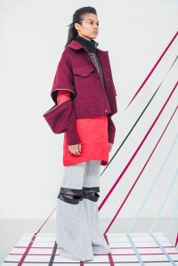Danielle Romeril RTW Fall 2016