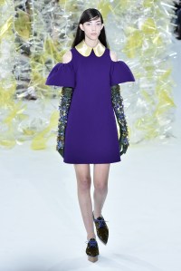 Delpozo RTW Fall 2016