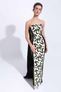 Elizabeth Kennedy RTW Fall 2016