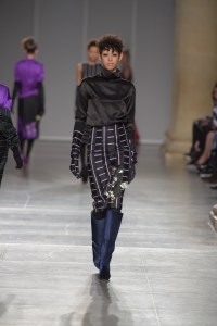 AV Robertson RTW Fall 2016