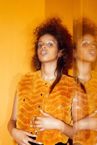 Faustine Steinmetz RTW Fall 2016