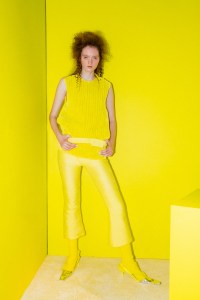 Faustine Steinmetz RTW Fall 2016